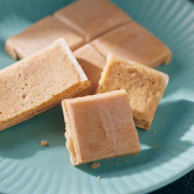 藻なかさぶれ・東太平洋セット 各10枚 [A066BN]