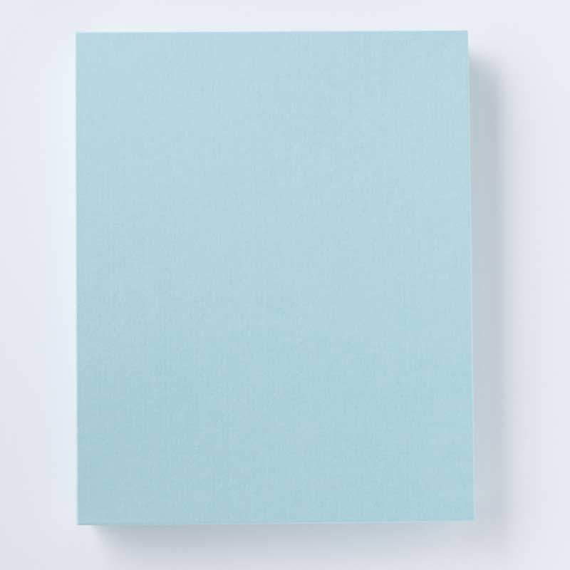 東太平洋 20枚入 (化粧箱) [A066BN]