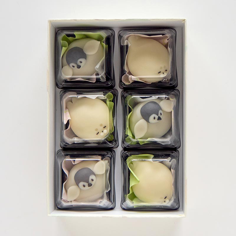 癒しの練り切り「南極和菓子」6個入 [A096BND] | 店舗,御菓子司 紅谷