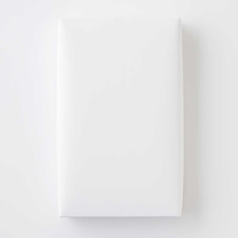 長崎ドーナッツ 10個入 [A056BN]