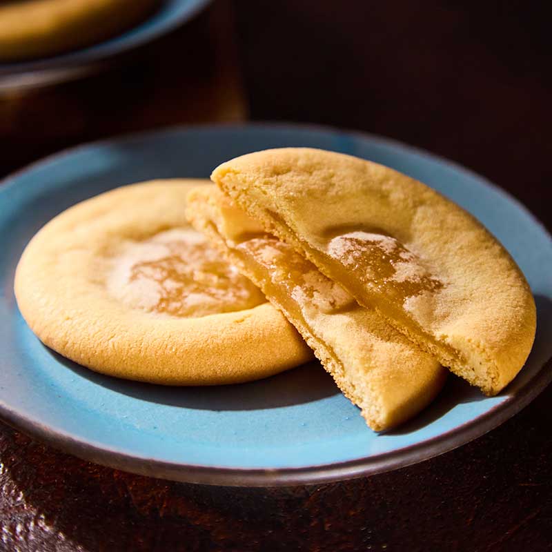 定信 12枚入 [A074BN]