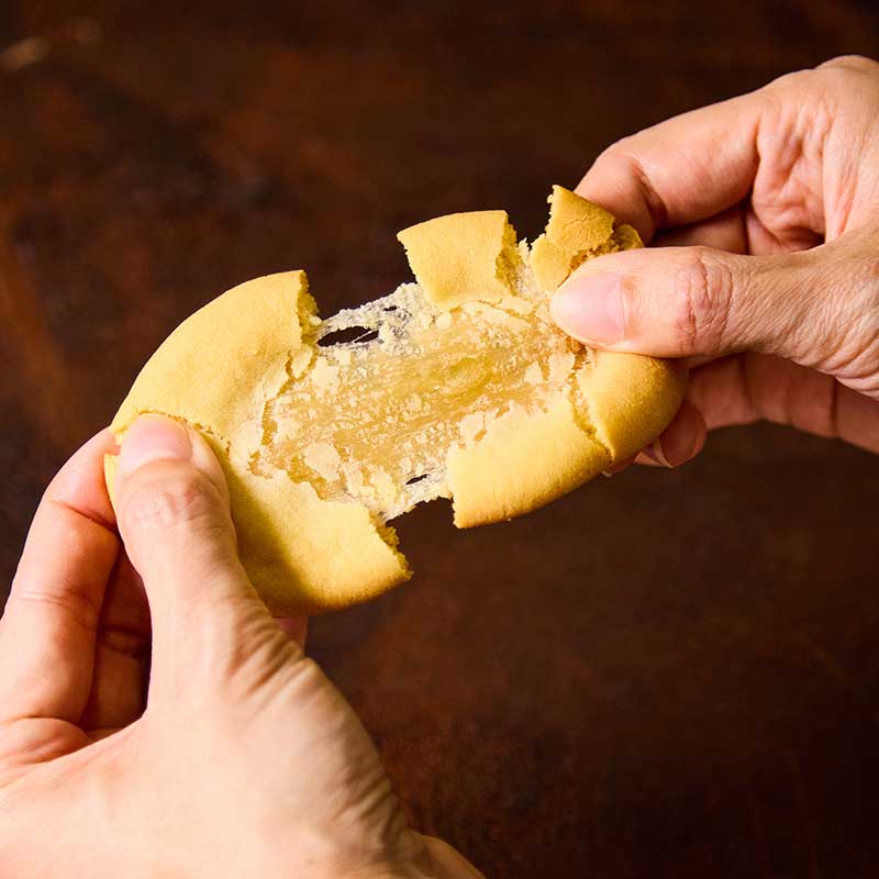 定信 12枚入 [A074BN]