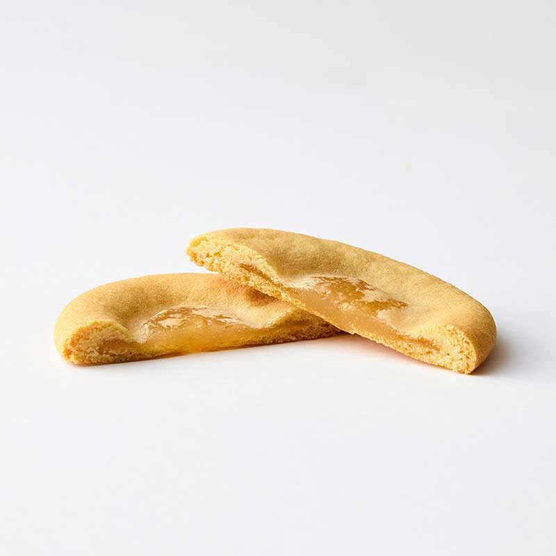 定信 12枚入 [A074BN]