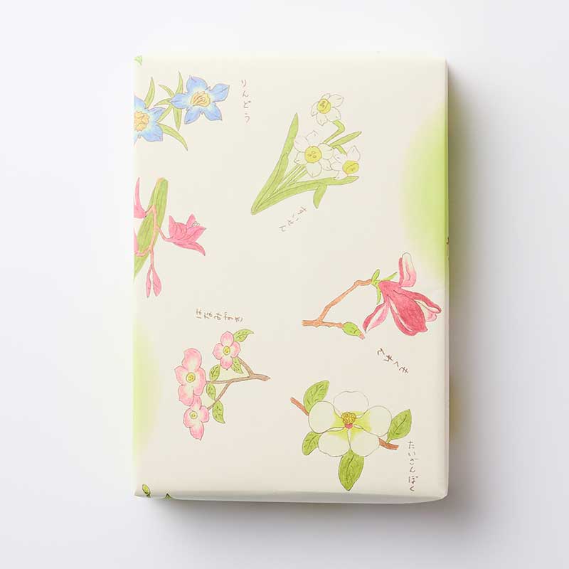 定信 12枚入 [A074BN]