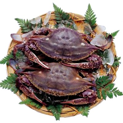 ���� �錄�꤬�� 5kg