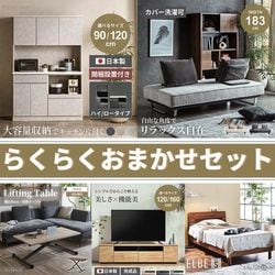 らくらくおまかせセット 組立設置プラン