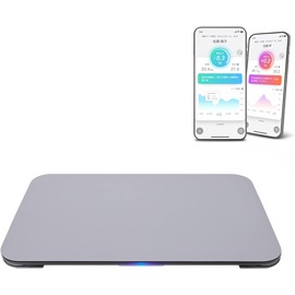 issin スマートバスマット グレー 体重計 SBM22U01LJ-GY
