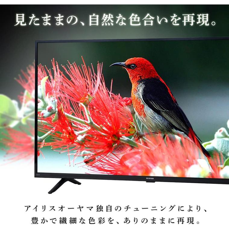 アイリスオーヤマ 液晶テレビ 32インチ ハイビジョン Wチューナー 裏番組同時録画 外付けHDD録画 32WB10PB