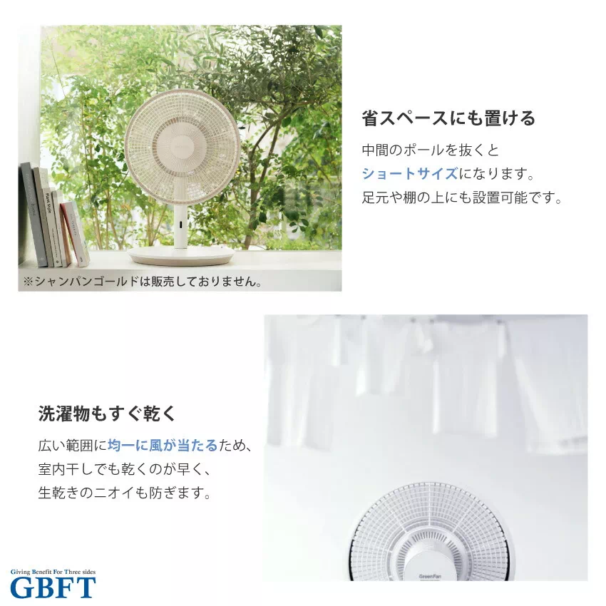 バルミューダ 扇風機 BALMUDA The GreenFan ブラック×ダークグレー EGF