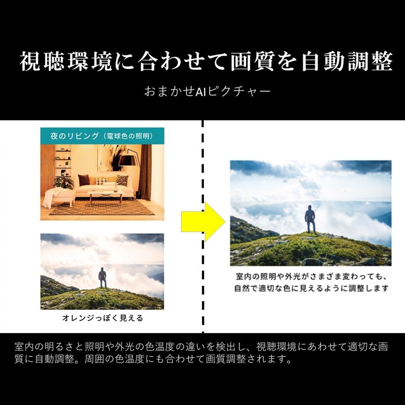 TVS REGZA 4K液晶 43インチ スマートテレビ Airplay対応 2023年モデル 43M550M