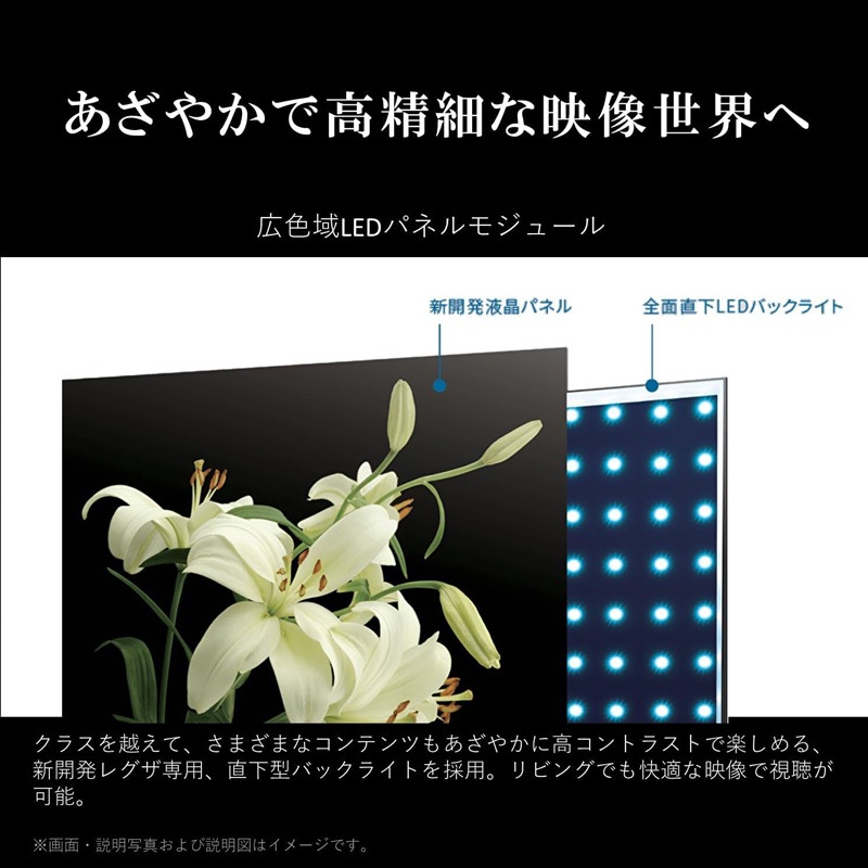 TVS REGZA 4K液晶 43インチ スマートテレビ Airplay対応 2023年モデル 43M550M