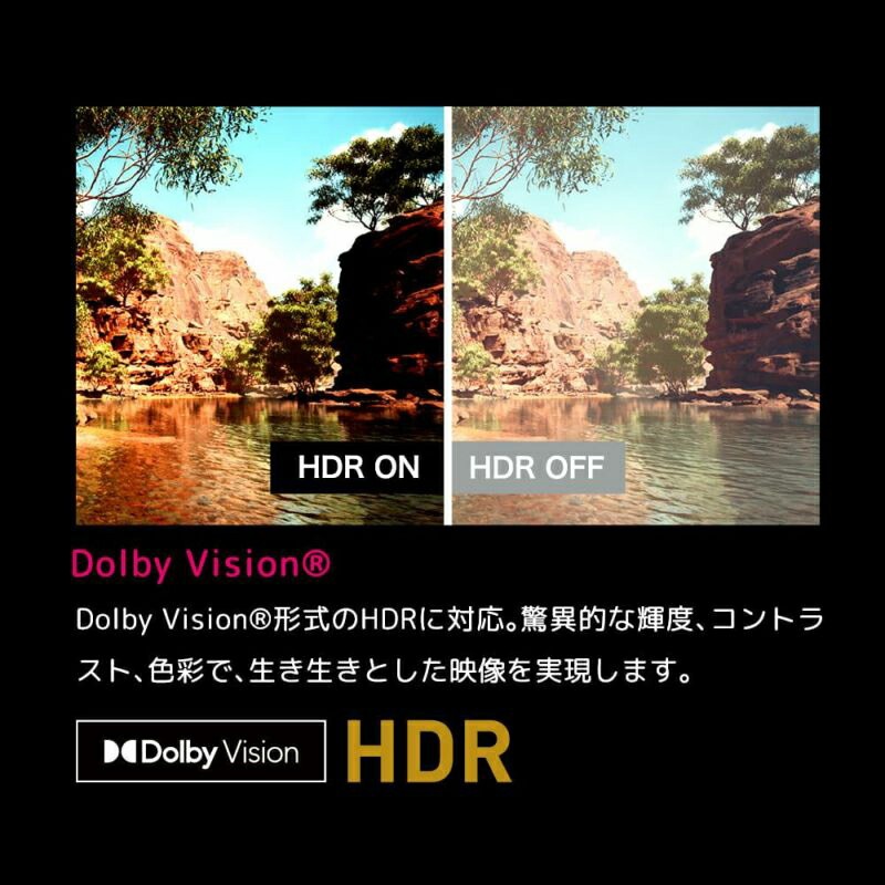 オリオン ORION チューナーレス スマートテレビ 75インチ GL751U GoogleTV搭載 4K対応