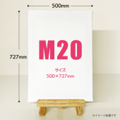 ���ꥸ�ʥ륭���Х��ץ��ȡ�M20������