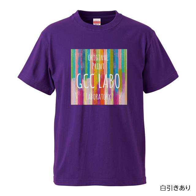 ڥۥ磻ȥ󥯥åȡ5.6 ϥƥ ԥġåǥGS/GM/GL