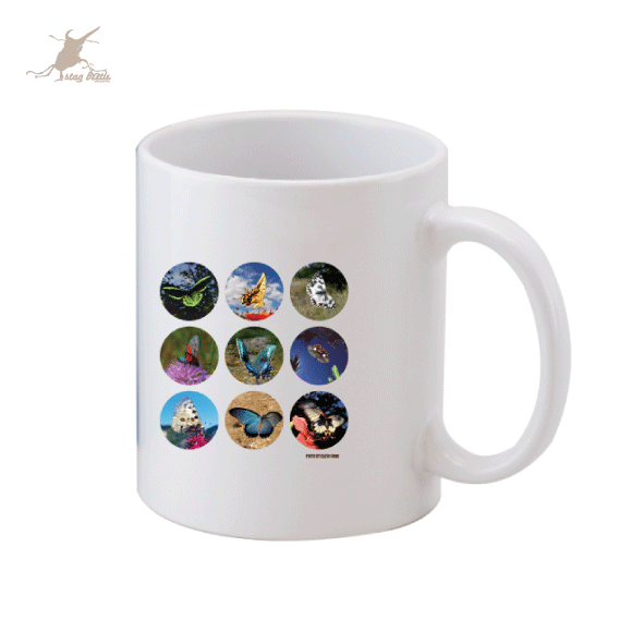 �ޥ����åס�04�ۡ�ĳ