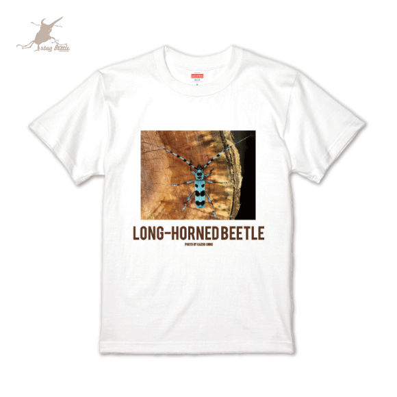 T����ġ�04�ۡ����ߥ���ॷ