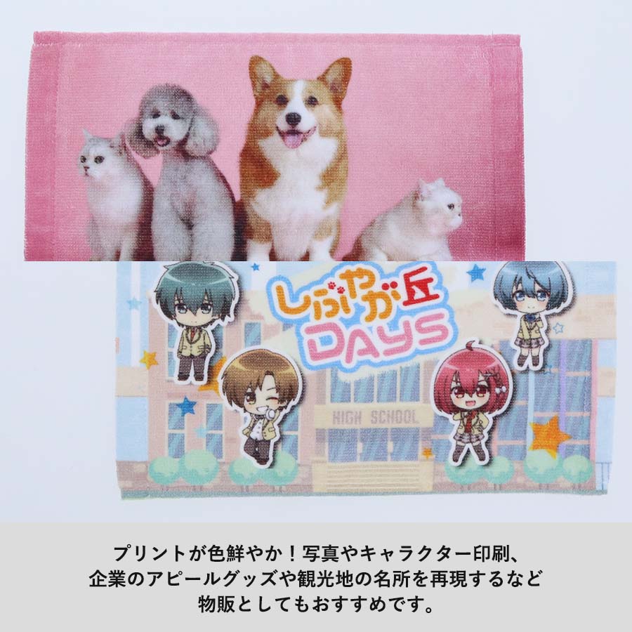 ���åȥ󥷥㡼��󥰥ϥ�ɥ���������̥ץ��ȡ�