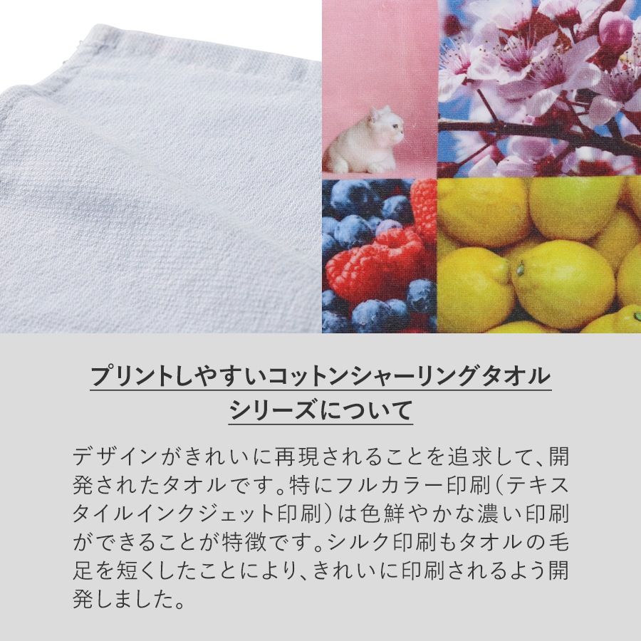 åȥ󥷥㡼󥰥ϥɥϰ