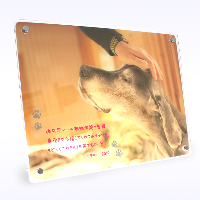 ������륹����ɡ�M