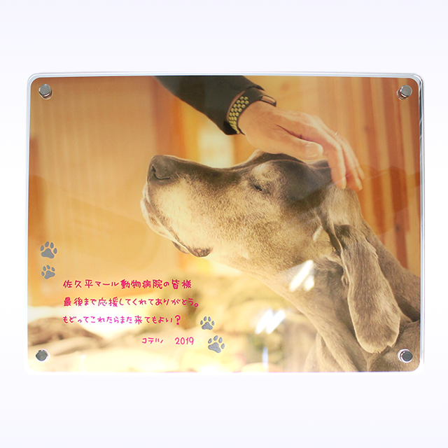 ������륹����ɡ�M