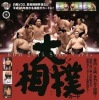 BBM 2015 大相撲カード BOX