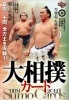 BBM 2012 大相撲カード(送料無料)