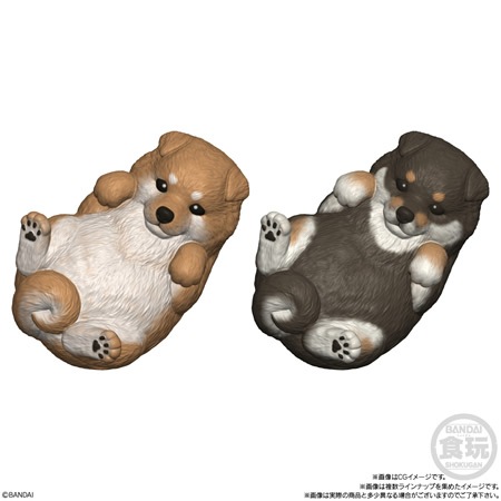 もっちりころりん♪おいぬ （食玩） BOX 2026年18日発売予定