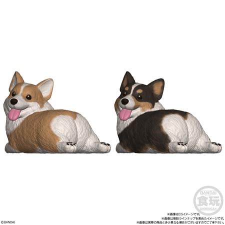 もっちりころりん♪おいぬ （食玩） BOX 2026年18日発売予定