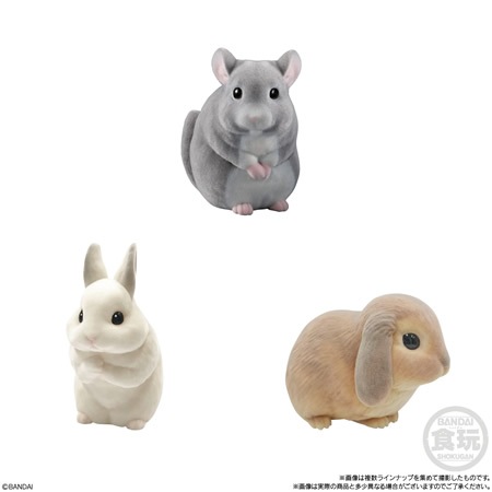 もふもふ?てのりフレンズ2 -小動物- （食玩） BOX 2024年11月4日