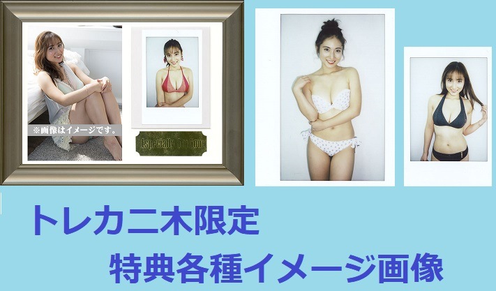 紗綾ピンスポビキニカード32枚限定