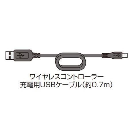 別売付属品 Edifier Spinnaker E30シリーズ用 ワイヤレスコントローラー充電用USBケーブル（約0.7m） ［プリンストン直営］