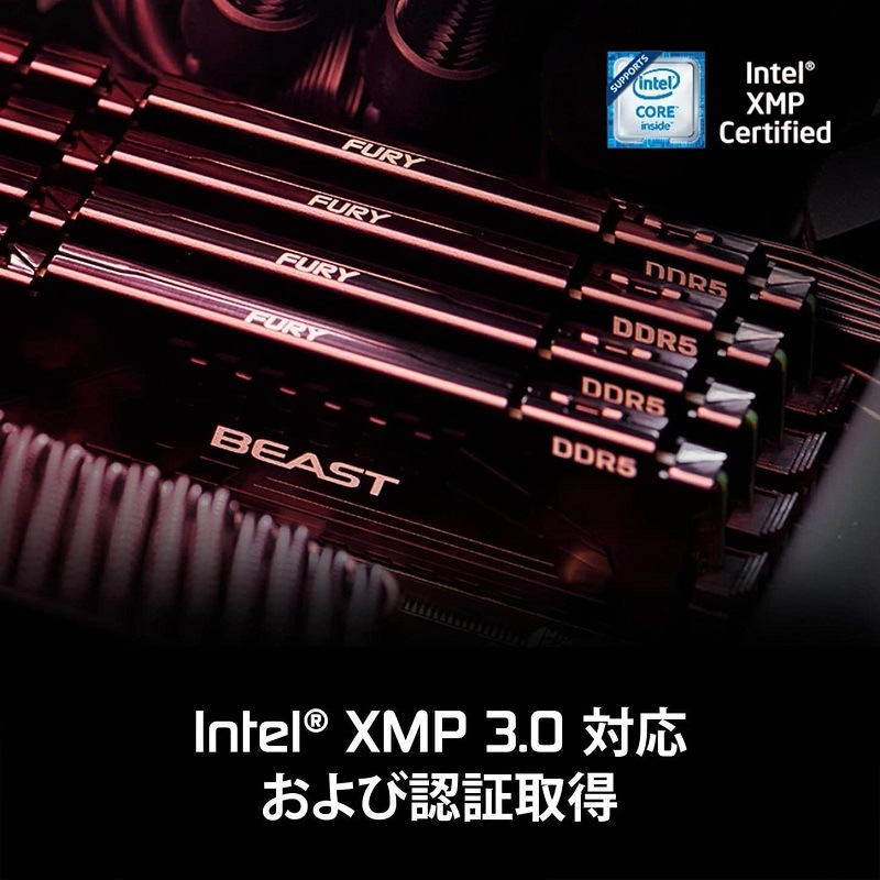 ڥ᡼󤻡ۥ󥰥ȥ FURY Beast꡼ ֥å 16GB 5200MHz DDR5 CL40 DIMM 288pin ߥ󥰥 KF552C40BB-16 Υץ󥹥ȥľġ