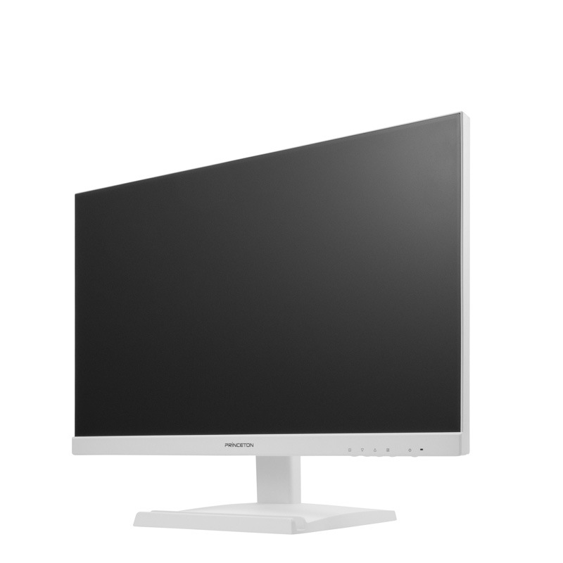 23.8インチ フルHD 液晶ディスプレイ 120Hz ADSパネル HDMI / USB Type