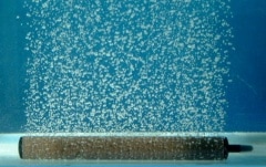 ���֤��������ȡ��󣱣��աߣ�������������