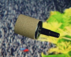 ���֤��������ȡ��󣱣��մݡ�������