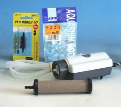 ���֤��������ȡ��󣲣��աߣ��������������������������å�