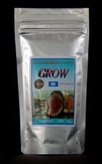 �ɤ��礦�ܿ�����ꥰ�����ĥ����֥륿���ף�����