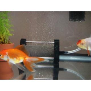 ���֤��������ȡ��󣳣��աߣ���