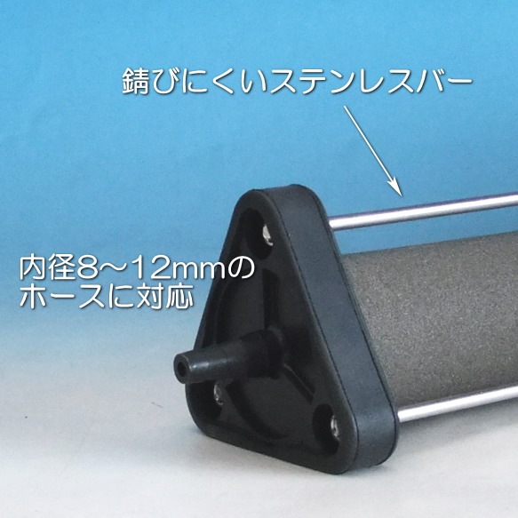 ���֤��������ȡ��󣵣��աߣ�������������