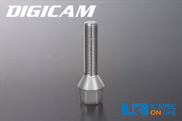 DIGICAM ͢ѥ磻ɥȥåɥڡեܥ[17HEX/60٥ơѡ]1ܡ