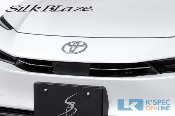 SilkBlaze��60�ϥץꥦ���ۥ��åѡ�����륬���˥å���