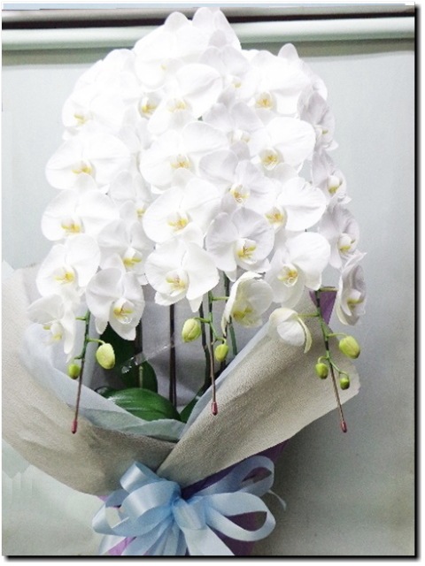 �ǥ�å�������ĳ����25,500�ߡ��ǹ��� 1187fp-004