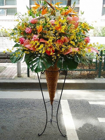 ���뤤���ϡ������󥹥���ɲ֡�22�������Է��ʳ��������Ϸ��ʤξ��⤢��ޤ� 1187artst-031