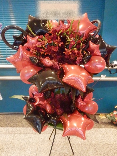 Bst2 039 エリア限定商品 東京 神奈川 千葉 埼玉 詳しくはご確認ください メギツネ 赤黒系