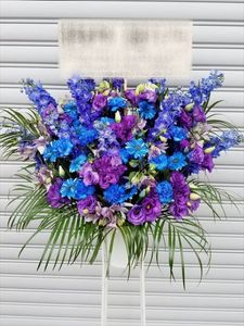 �֥롼�ѡ��ץ�ϡ�������ɲ֡�1�ʡ��ǹ���16500�ߡ�1187st1-046