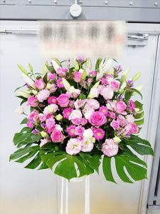 �ԥ�ǻø�ϡ�������ɲ֡�1�ʡ��ǹ���16500�ߡ�1187st1-037