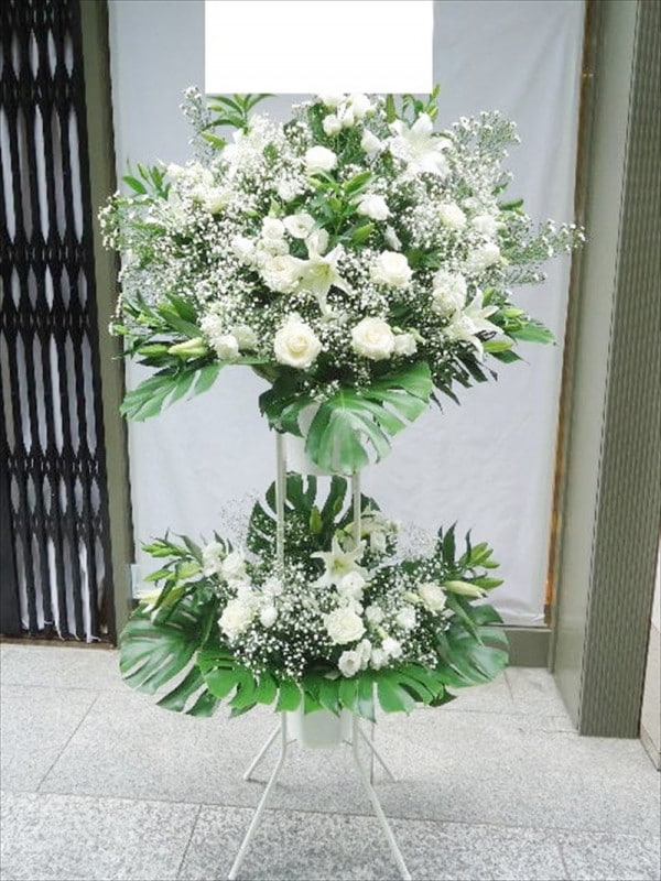 �ۥ磻�ȷ�2��������ɲ֡�2�ʡ��ǹ���22000�ߡ�1187st2-063
