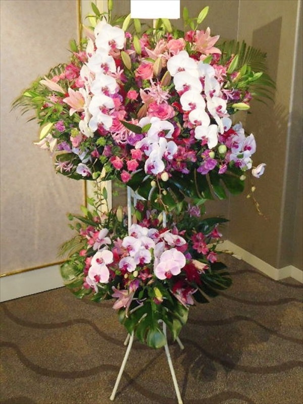 ピンク 胡蝶蘭 スタンド花 リボン付き ピンク 胡蝶蘭 スタンド花 リボン付き ピンク 胡蝶蘭 スタンド花