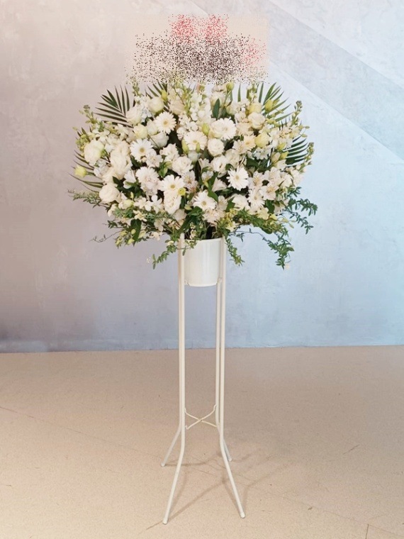 �ۥ磻�ȷϡ�������ɲ֡�1�ʡ��ǹ���16500�ߡ�1187st1-15001