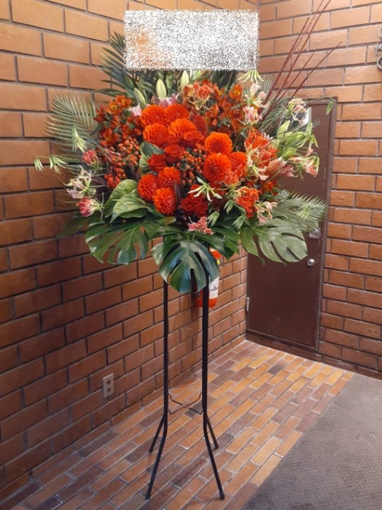 ���롼�ԥ󥰥ǥ����󡡥�åɷϡ�������ɲ֡�1�ʡ��ǹ���26000�ߡ�1187st1-15003